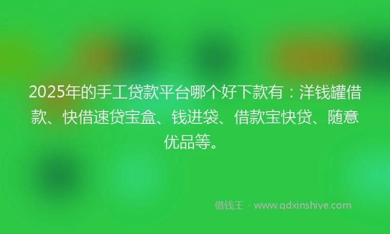 2025年的手工贷款平台哪个好下款有：洋钱罐借款、快借速贷宝盒、钱进袋、借款宝快贷、随意优品等。