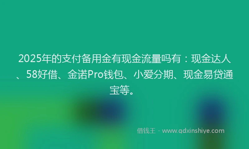 2025年的支付备用金有现金流量吗有：现金达人、58好借、金诺Pro钱包、小爱分期、现金易贷通宝等。