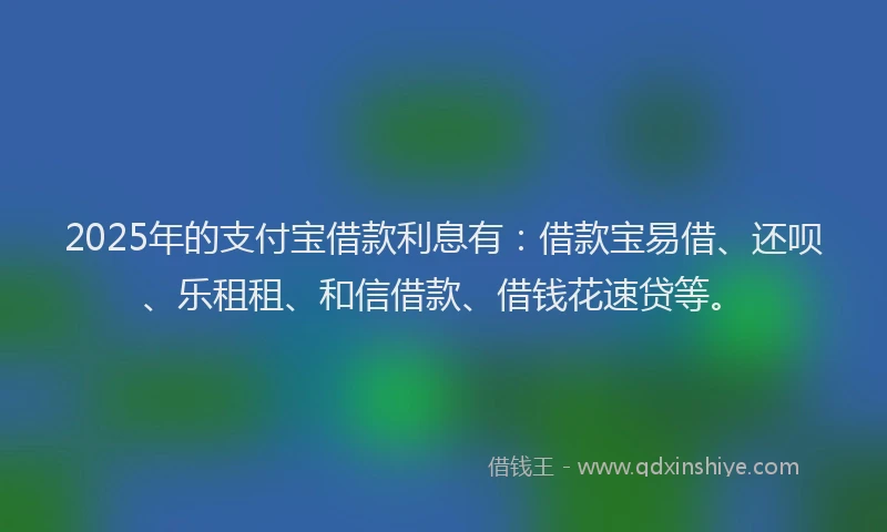2025年的支付宝借款利息有：借款宝易借、还呗、乐租租、和信借款、借钱花速贷等。