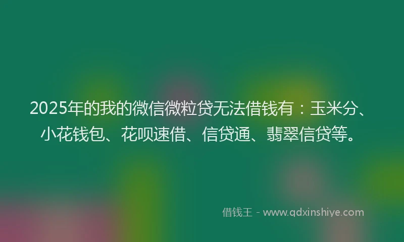 2025年的我的微信微粒贷无法借钱有：玉米分、小花钱包、花呗速借、信贷通、翡翠信贷等。