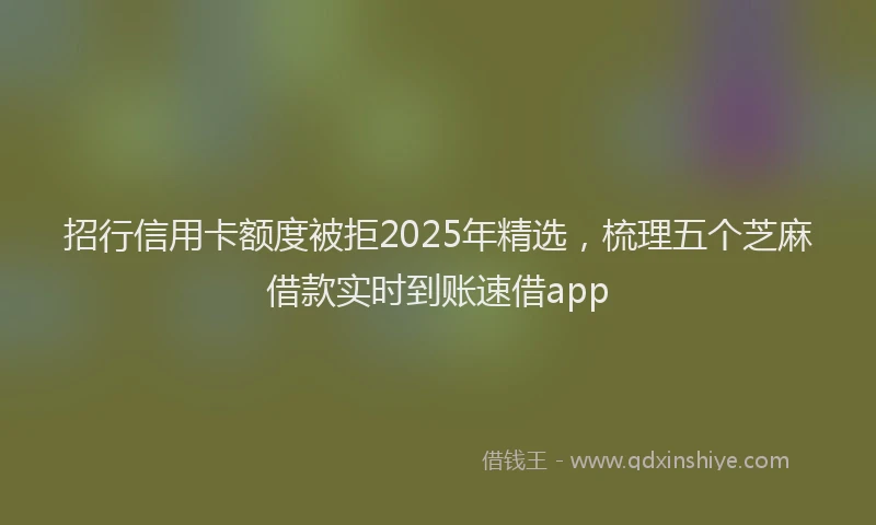 招行信用卡额度被拒2025年精选，梳理五个芝麻借款实时到账速借app