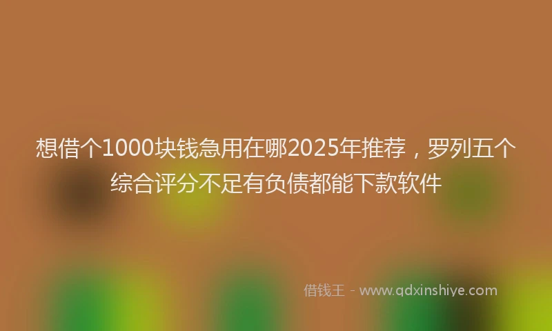 想借个1000块钱急用在哪2025年推荐，罗列五个综合评分不足有负债都能下款软件