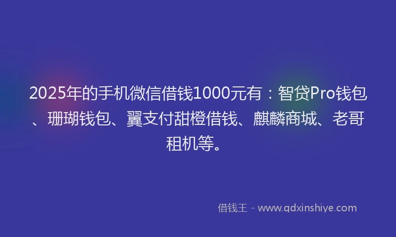 2025年的手机微信借钱1000元有：智贷Pro钱包、珊瑚钱包、翼支付甜橙借钱、麒麟商城、老哥租机等。