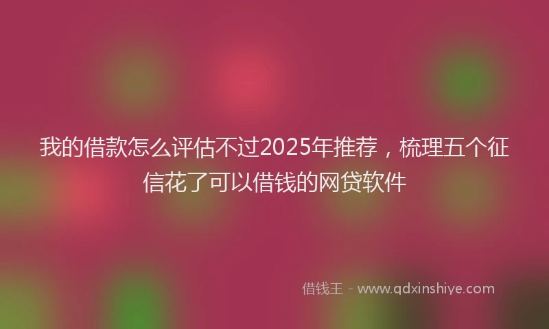 我的借款怎么评估不过2025年推荐，梳理五个征信花了可以借钱的网贷软件