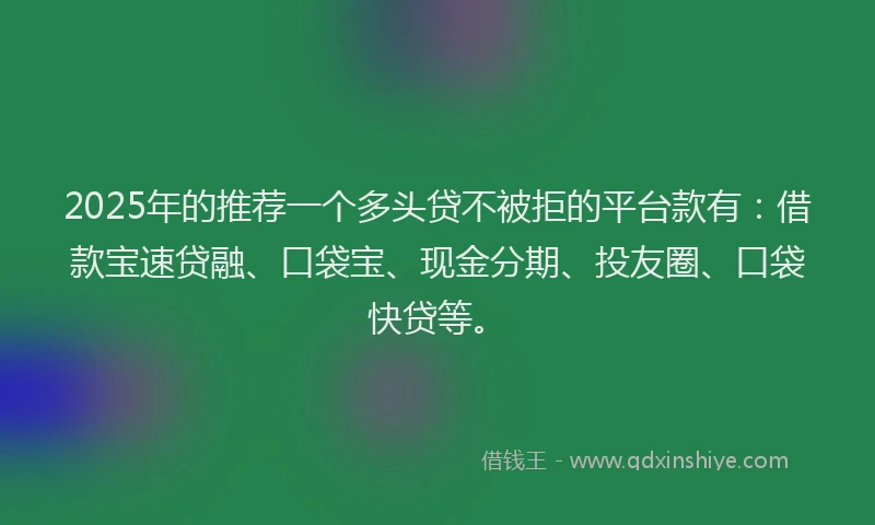 2025年的推荐一个多头贷不被拒的平台款有：借款宝速贷融、口袋宝、现金分期、投友圈、口袋快贷等。
