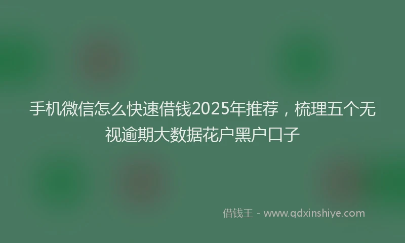 手机微信怎么快速借钱2025年推荐，梳理五个无视逾期大数据花户黑户口子