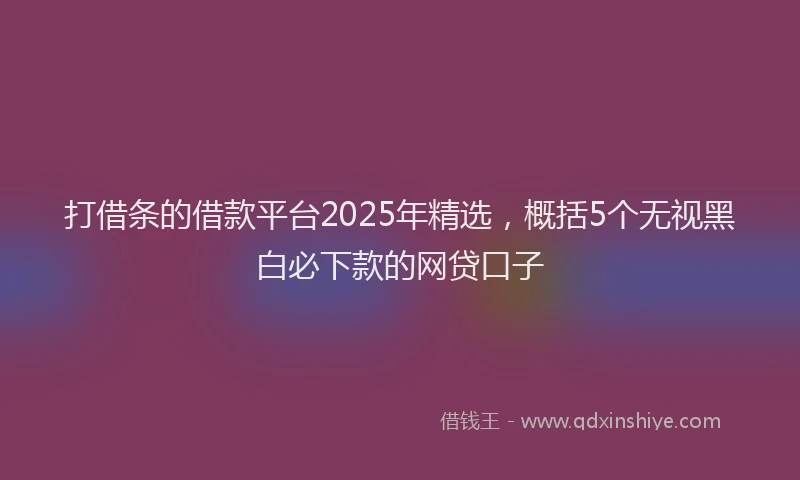 打借条的借款平台2025年精选，概括5个无视黑白必下款的网贷口子