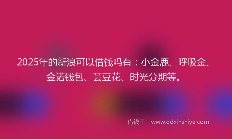 2025年的新浪可以借钱吗有：小金鹿、呼吸金、金诺钱包、芸豆花、时光分期等。
