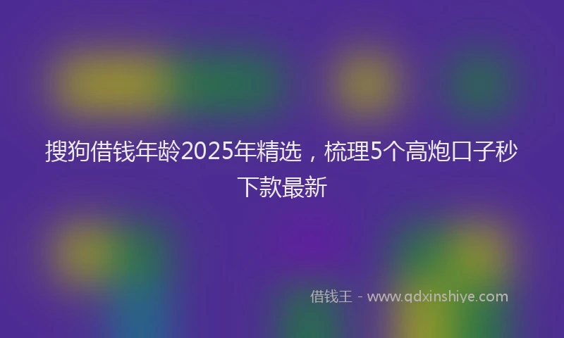 搜狗借钱年龄2025年精选，梳理5个高炮口子秒下款最新