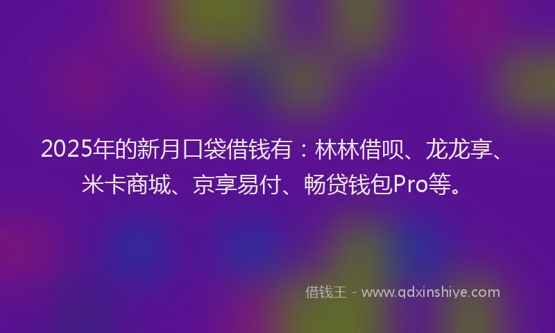 2025年的新月口袋借钱有：林林借呗、龙龙享、米卡商城、京享易付、畅贷钱包Pro等。
