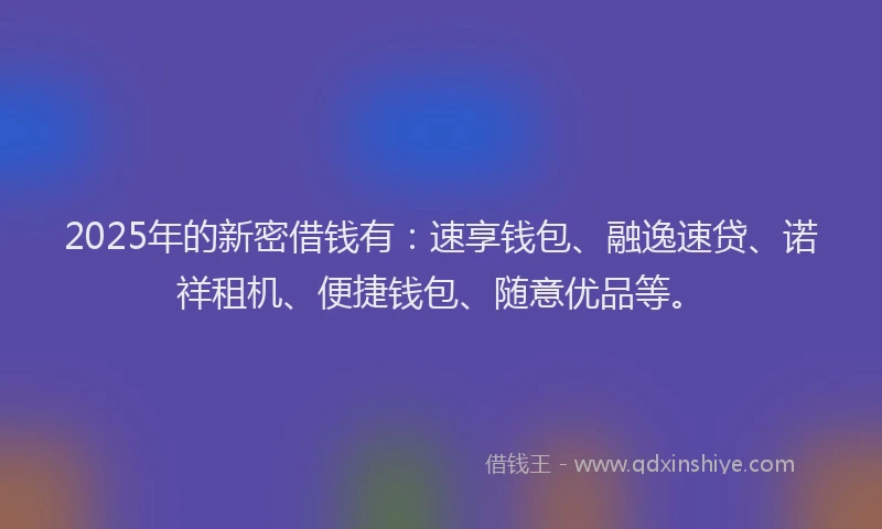 2025年的新密借钱有：速享钱包、融逸速贷、诺祥租机、便捷钱包、随意优品等。