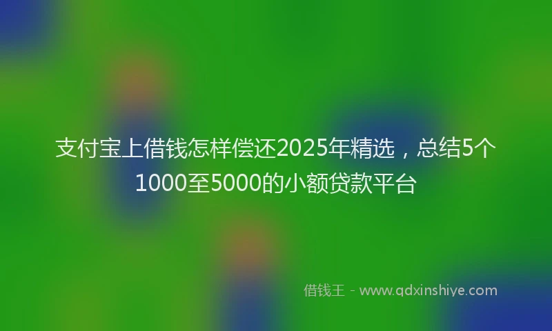 支付宝上借钱怎样偿还2025年精选，总结5个1000至5000的小额贷款平台