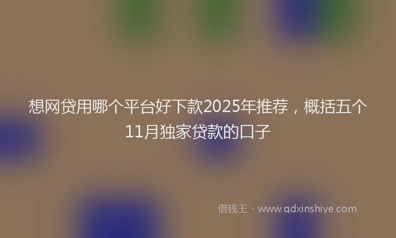 想网贷用哪个平台好下款2025年推荐，概括五个11月独家贷款的口子