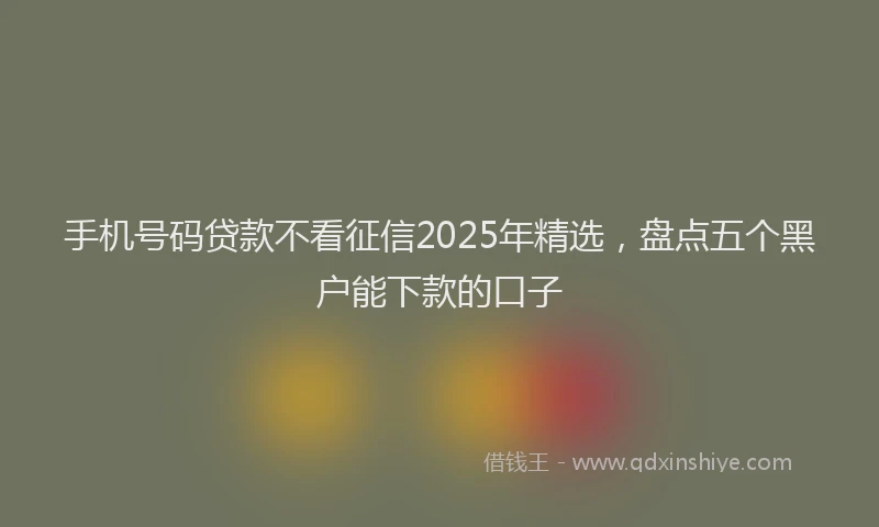 手机号码贷款不看征信2025年精选，盘点五个黑户能下款的口子