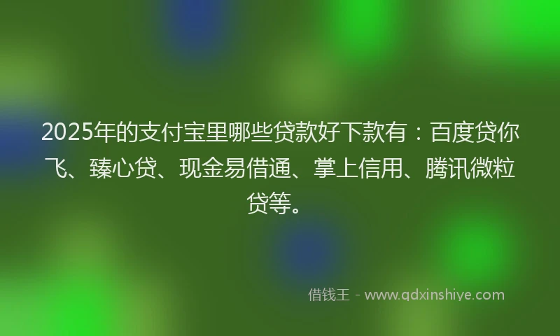 2025年的支付宝里哪些贷款好下款有：百度贷你飞、臻心贷、现金易借通、掌上信用、腾讯微粒贷等。