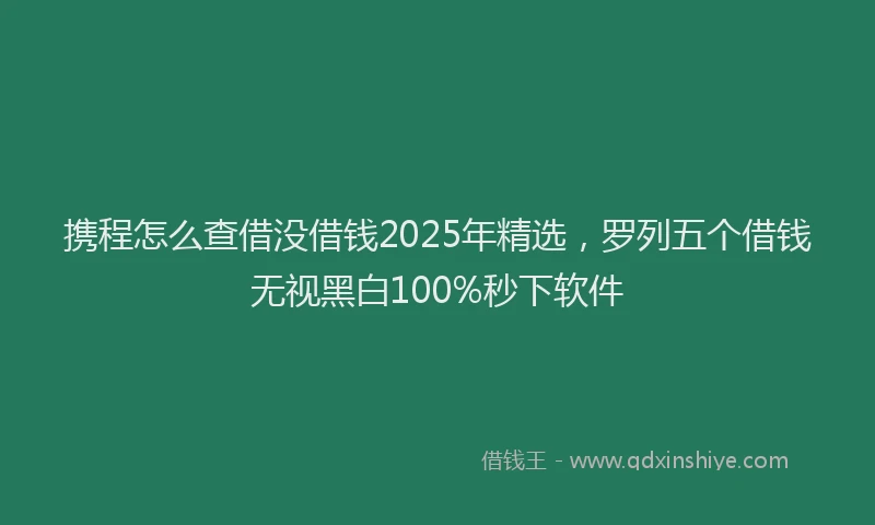 携程怎么查借没借钱2025年精选，罗列五个借钱无视黑白100%秒下软件