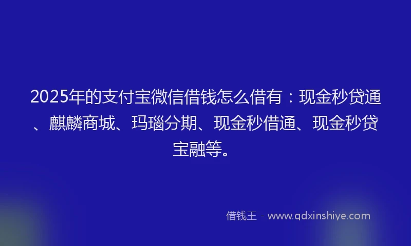 2025年的支付宝微信借钱怎么借有：现金秒贷通、麒麟商城、玛瑙分期、现金秒借通、现金秒贷宝融等。
