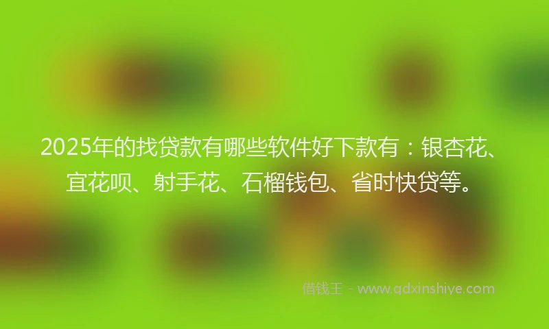 2025年的找贷款有哪些软件好下款有:银杏花、宜花呗、射手花、石榴钱包、省时快贷等。