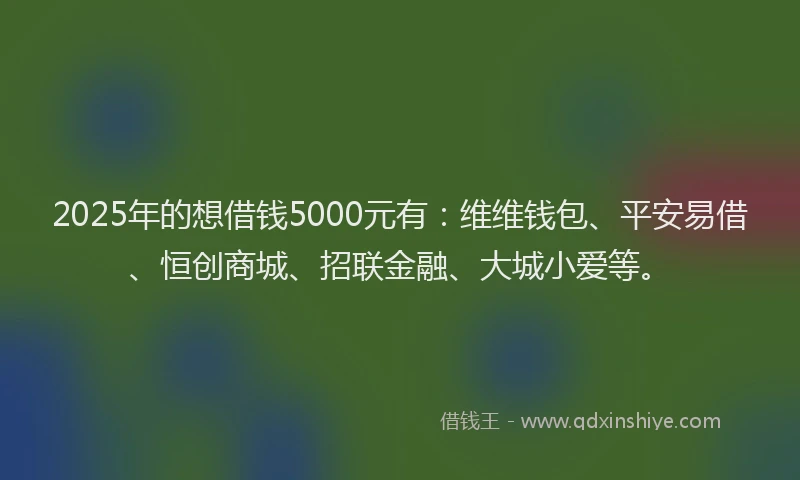2025年的想借钱5000元有:维维钱包、平安易借、恒创商城、招联金融、大城小爱等。