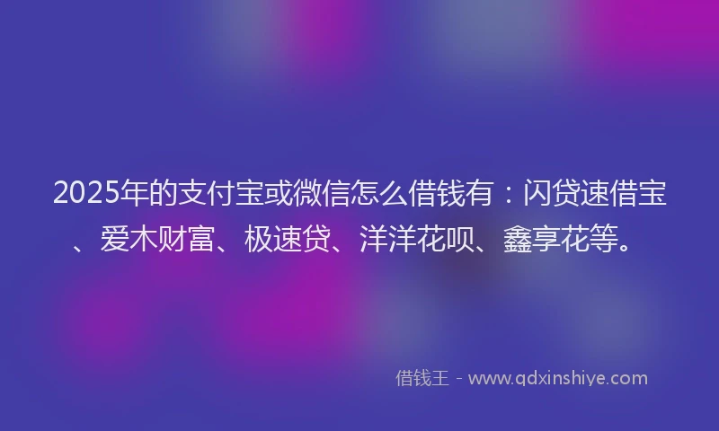 2025年的支付宝或微信怎么借钱有：闪贷速借宝、爱木财富、极速贷、洋洋花呗、鑫享花等。