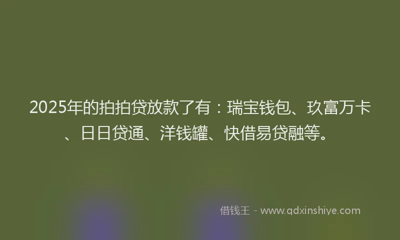 2025年的拍拍贷放款了有：瑞宝钱包、玖富万卡、日日贷通、洋钱罐、快借易贷融等。