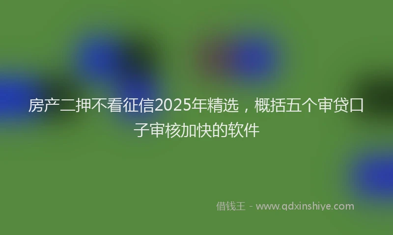 房产二押不看征信2025年精选，概括五个审贷口子审核加快的软件