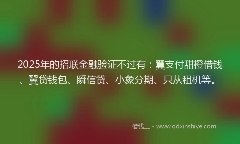 2025年的招联金融验证不过有：翼支付甜橙借钱、翼贷钱包、瞬信贷、小象分期、只从租机等。