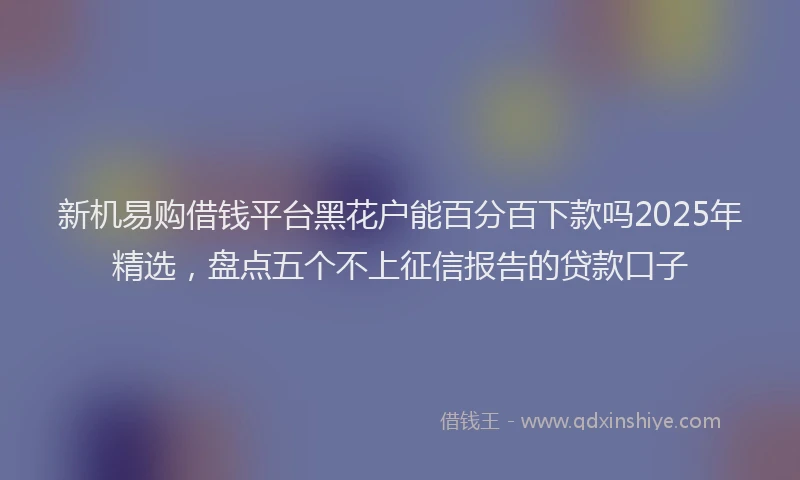 新机易购借钱平台黑花户能百分百下款吗2025年精选，盘点五个不上征信报告的贷款口子