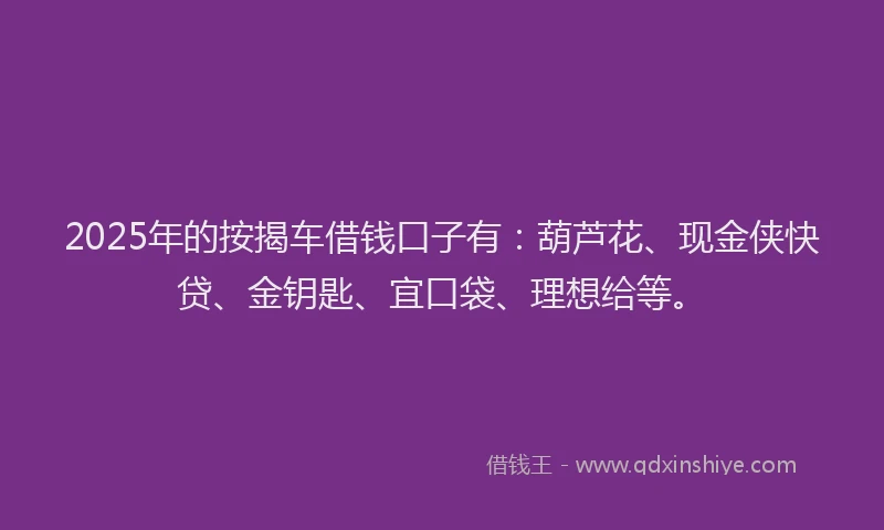 2025年的按揭车借钱口子有：葫芦花、现金侠快贷、金钥匙、宜口袋、理想给等。
