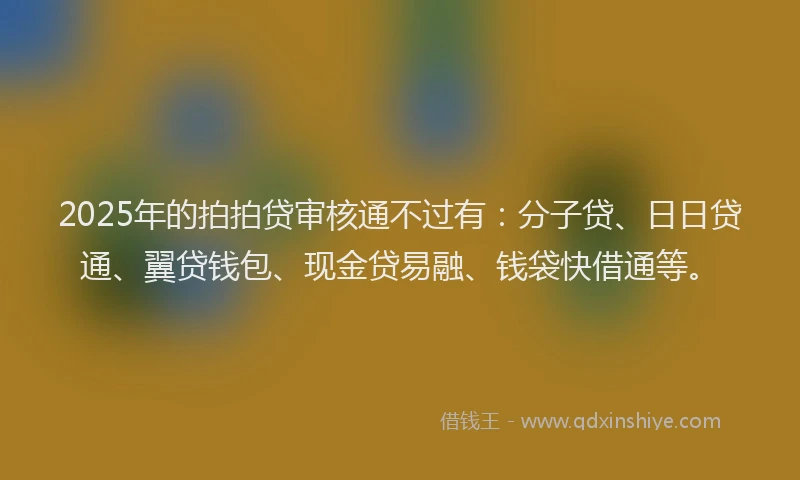 2025年的拍拍贷审核通不过有：分子贷、日日贷通、翼贷钱包、现金贷易融、钱袋快借通等。
