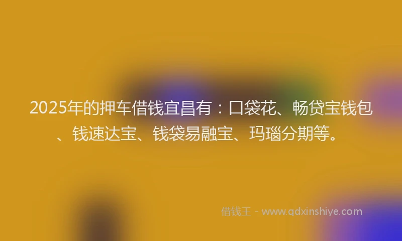 2025年的押车借钱宜昌有：口袋花、畅贷宝钱包、钱速达宝、钱袋易融宝、玛瑙分期等。