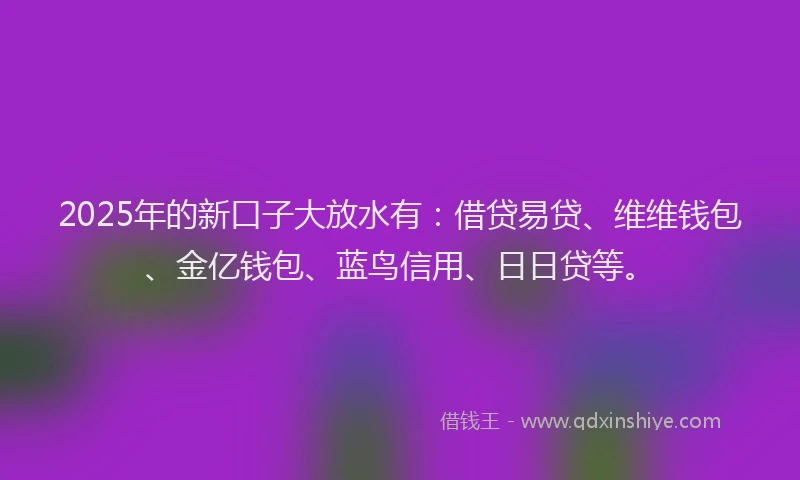 2025年的新口子大放水有：借贷易贷、维维钱包、金亿钱包、蓝鸟信用、日日贷等。