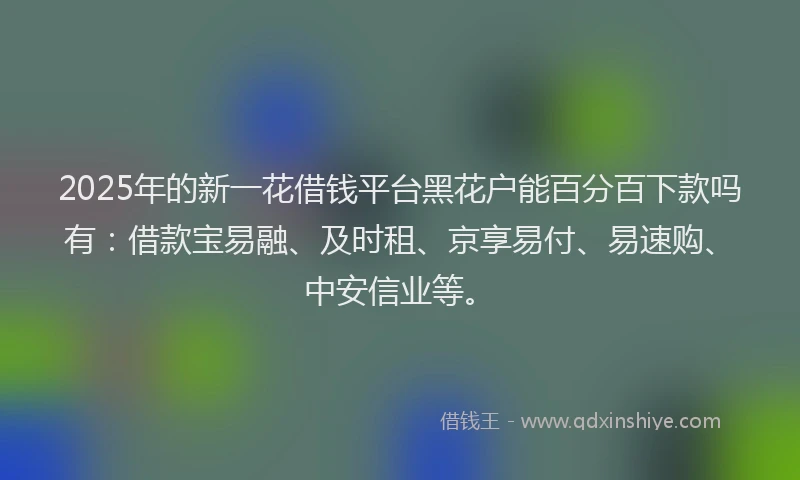 2025年的新一花借钱平台黑花户能百分百下款吗有：借款宝易融、及时租、京享易付、易速购、中安信业等。