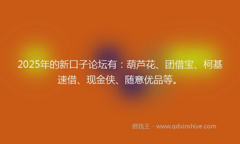2025年的新口子论坛有：葫芦花、团借宝、柯基速借、现金侠、随意优品等。