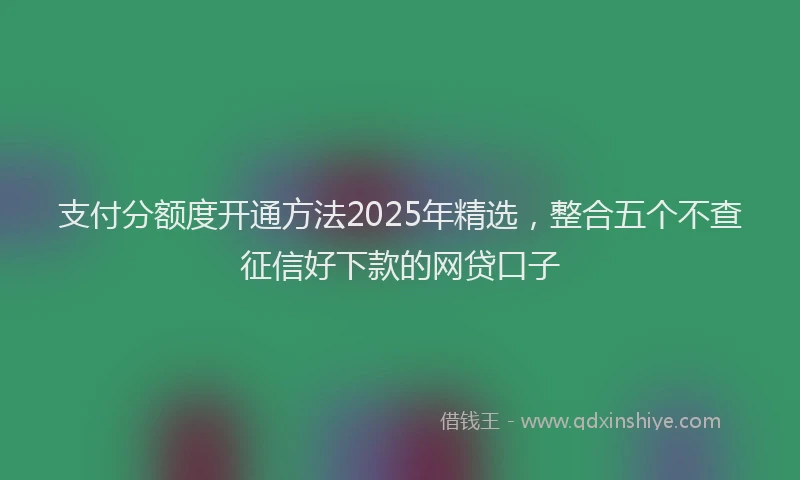 支付分额度开通方法2025年精选，整合五个不查征信好下款的网贷口子