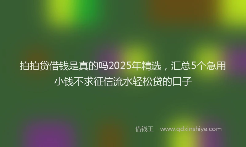 拍拍贷借钱是真的吗2025年精选，汇总5个急用小钱不求征信流水轻松贷的口子