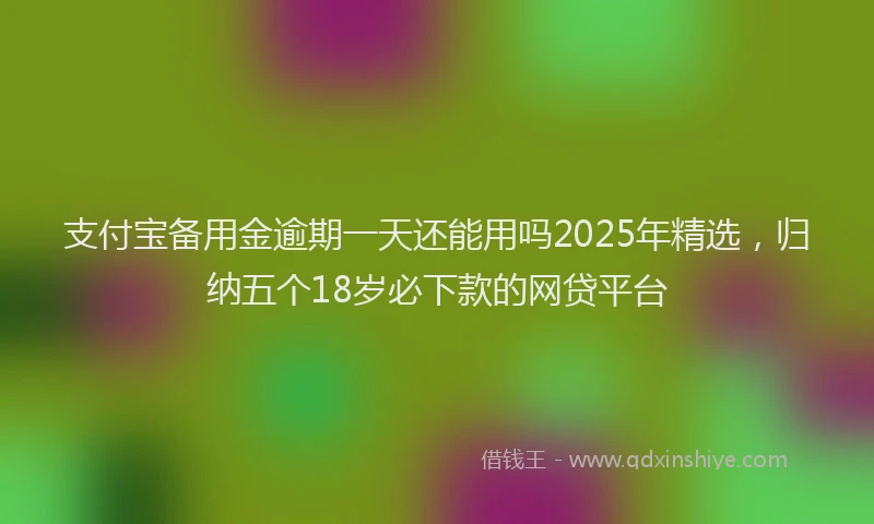 支付宝备用金逾期一天还能用吗2025年精选，归纳五个18岁必下款的网贷平台
