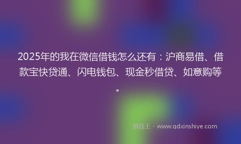 2025年的我在微信借钱怎么还有：沪商易借、借款宝快贷通、闪电钱包、现金秒借贷、如意购等。