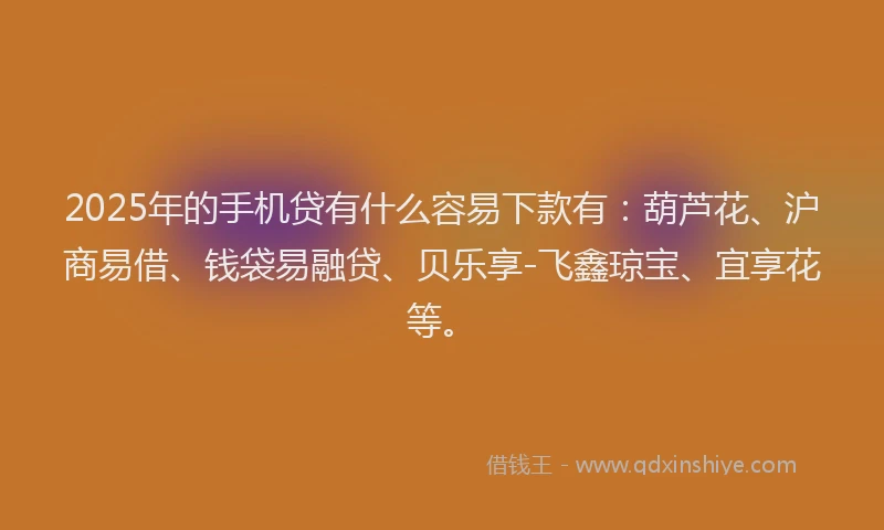 2025年的手机贷有什么容易下款有：葫芦花、沪商易借、钱袋易融贷、贝乐享-飞鑫琼宝、宜享花等。