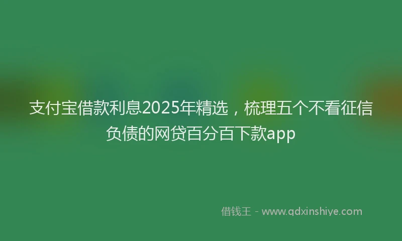 支付宝借款利息2025年精选，梳理五个不看征信负债的网贷百分百下款app
