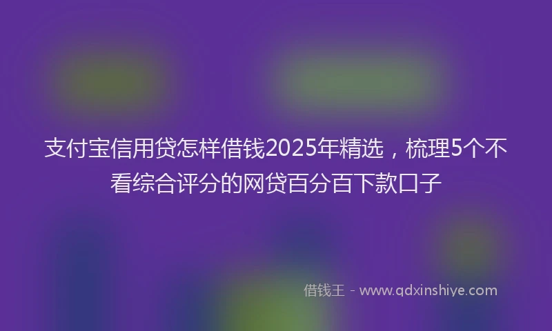 支付宝信用贷怎样借钱2025年精选，梳理5个不看综合评分的网贷百分百下款口子
