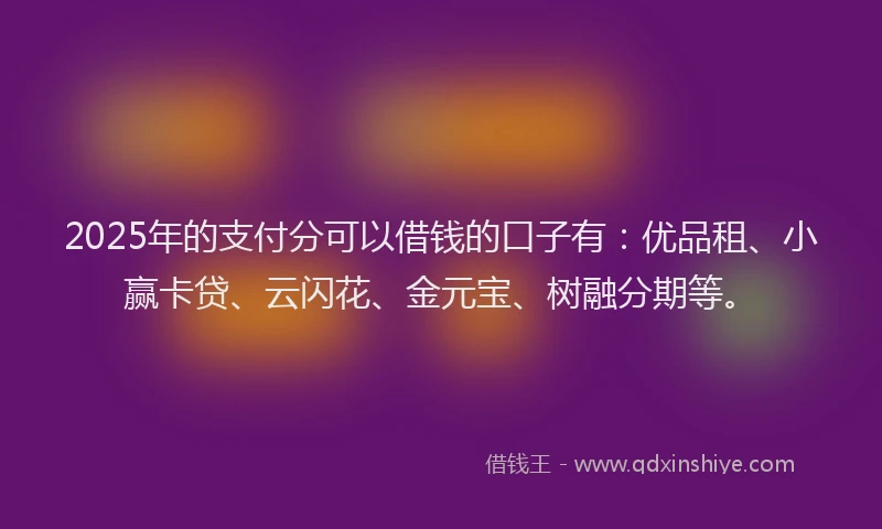 2025年的支付分可以借钱的口子有：优品租、小赢卡贷、云闪花、金元宝、树融分期等。