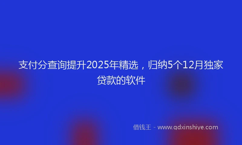 支付分查询提升2025年精选，归纳5个12月独家贷款的软件