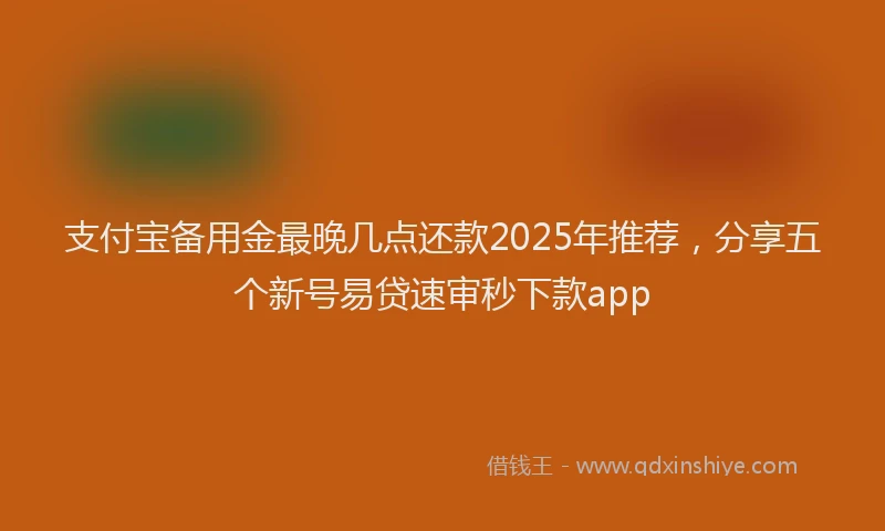 支付宝备用金最晚几点还款2025年推荐，分享五个新号易贷速审秒下款app