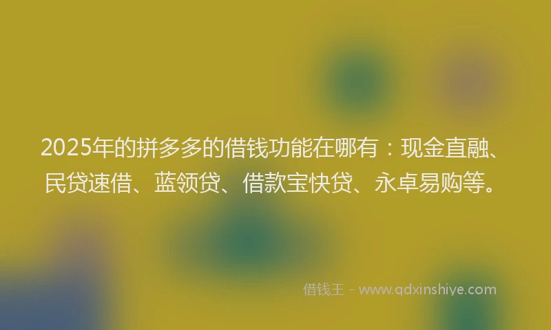 2025年的拼多多的借钱功能在哪有：现金直融、民贷速借、蓝领贷、借款宝快贷、永卓易购等。