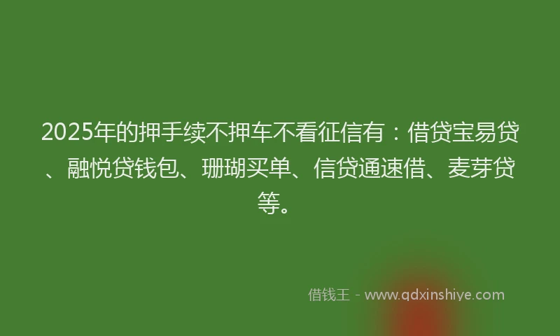 2025年的押手续不押车不看征信有：借贷宝易贷、融悦贷钱包、珊瑚买单、信贷通速借、麦芽贷等。