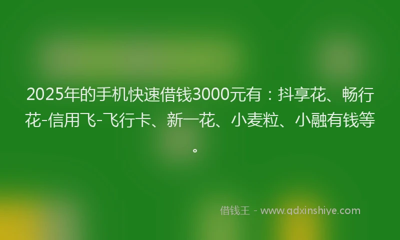 2025年的手机快速借钱3000元有：抖享花、畅行花-信用飞-飞行卡、新一花、小麦粒、小融有钱等。