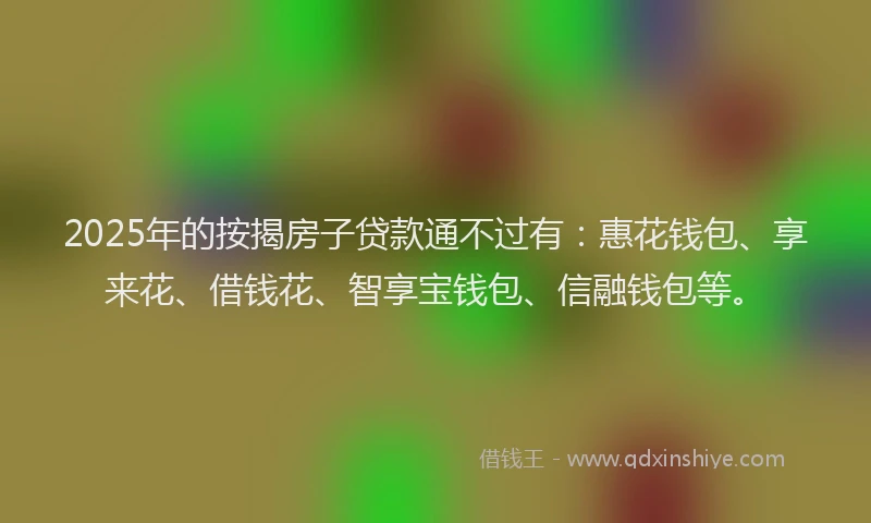 2025年的按揭房子贷款通不过有：惠花钱包、享来花、借钱花、智享宝钱包、信融钱包等。