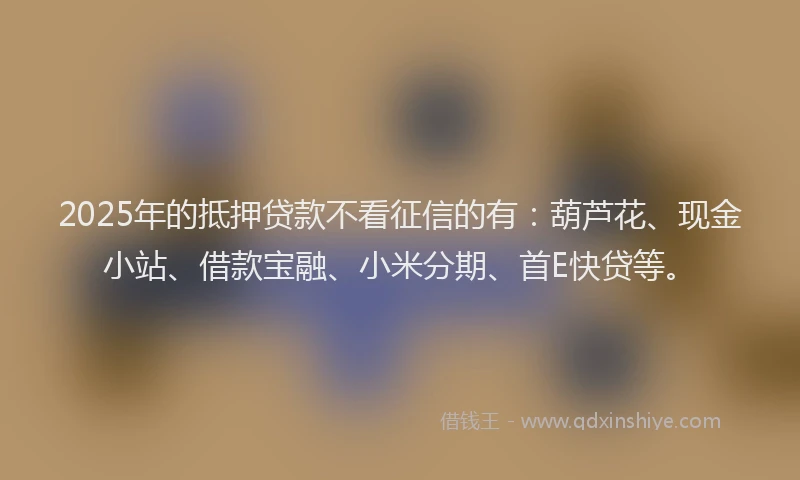 2025年的抵押贷款不看征信的有：葫芦花、现金小站、借款宝融、小米分期、首E快贷等。