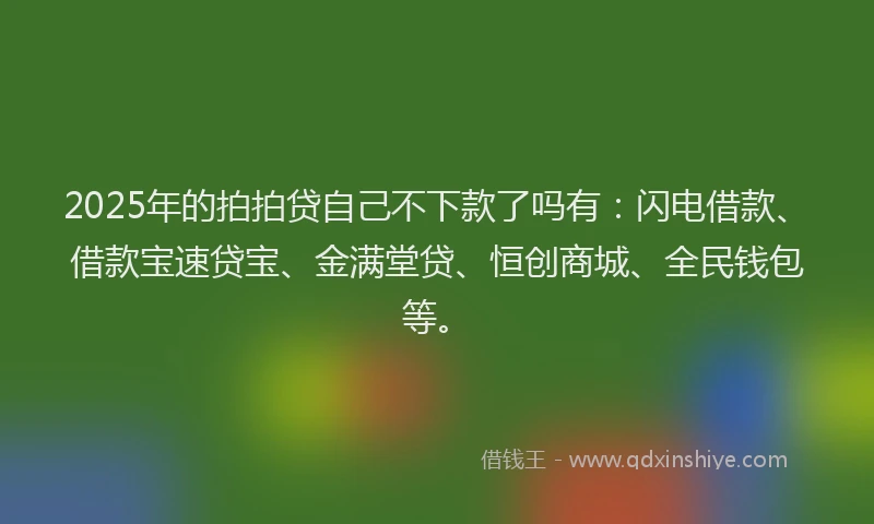 2025年的拍拍贷自己不下款了吗有：闪电借款、借款宝速贷宝、金满堂贷、恒创商城、全民钱包等。